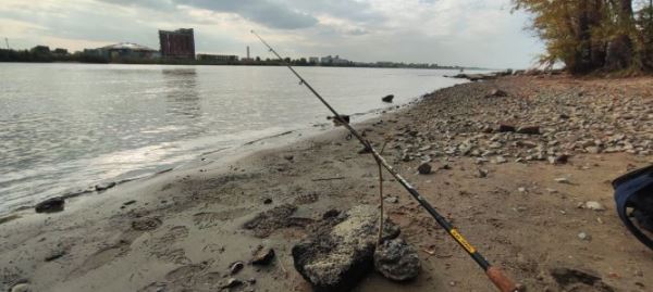 Рыбалка в центре города