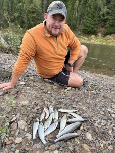 Тайдон - приток Томи