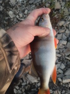 Хорошее завершение дня!..