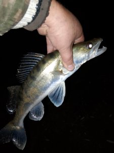 Восполнение