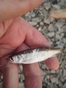 Хорошее завершение дня!..