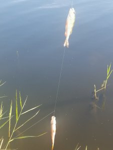 За огородами.