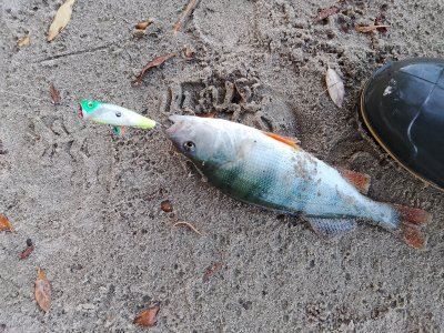 Восполнение