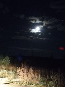 Скоротал вечерок!..