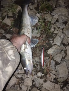 Хорошее завершение дня!..