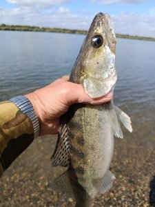 На Оби в черте города