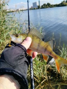 За огородами.