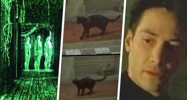 Эффект Бога из Матрицы: Как ChatGPT убедил программиста построить ему цифровой храм в подвале