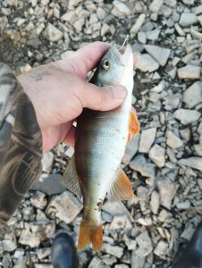 Скоротал вечерок!..