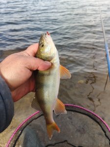 Котлован Левая Обь