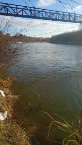 Иня-Издревая-предзакрытие..