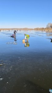 Открылся !!! 17 октября, ротан