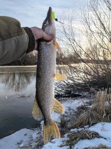 Лёд и нелёд.