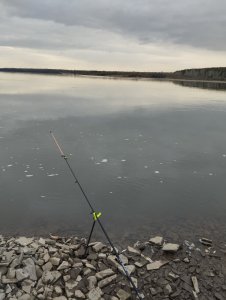 Дождался однако!..
