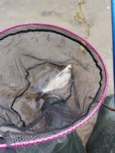 Котлован Левая Обь