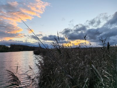 Полдня на речке.