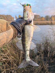 Полдня на речке.