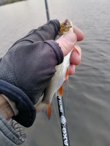 Юго-Западный в первый день октября.