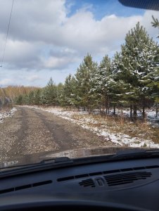 Дождался однако!..