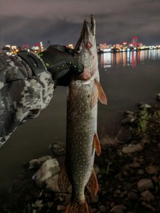 «За огородами» (ориентир: Димитровский мост)