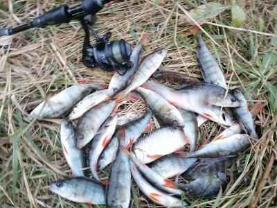 Юго-Западный в первый день октября.