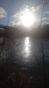 Иня-Издревая-предзакрытие..