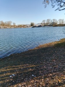 Снова Горская лужа.