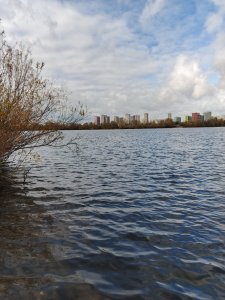 Котлован Левая Обь