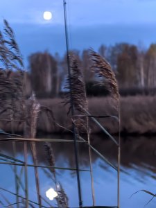 Полдня на речке.