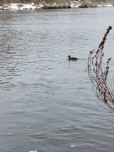 Снежный октябрь на Ине.