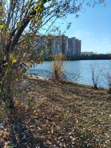 Снова Горская лужа.