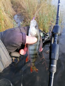 Юго-Западный в первый день октября.