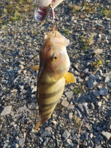 Умревинская протока в пургу!..