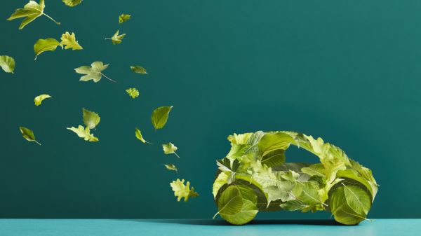 Татарстан планирует достичь углеродной нейтральности к 2050 году