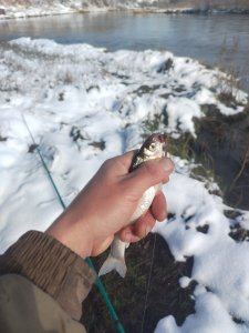 Снежный октябрь на Ине.