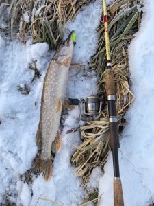 Лёд и нелёд.