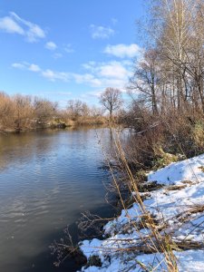Колыванские речки, рыбы нет...
