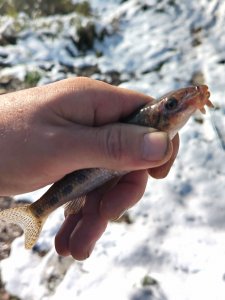 Снежный октябрь на Ине.