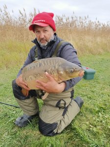 Три карпа, карась и кот.