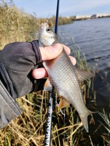 Юго-Западный в первый день октября.