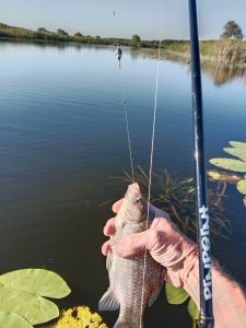 День Понтуна (продолжение)