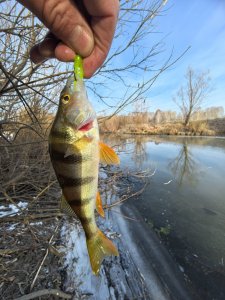 Лёд и нелёд.