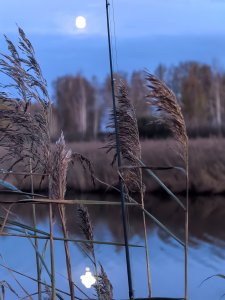 Полдня на речке.