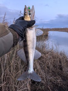 Полдня на речке.