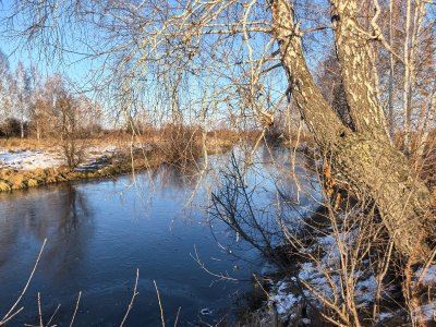 Колываны, промежуточный вариант.