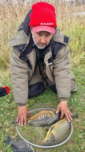 Три карпа, карась и кот.