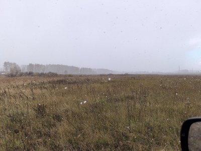 Полдня на речке.