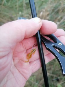 Юго-Западный в первый день октября.