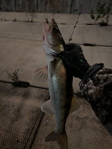 «За огородами» (ориентир: Димитровский мост)