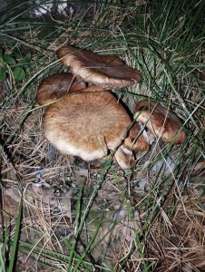 Умревинская протока в пургу!..